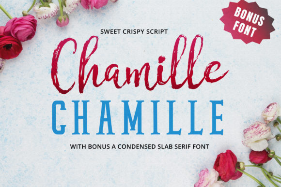 Download Chamille Script - Script Collection